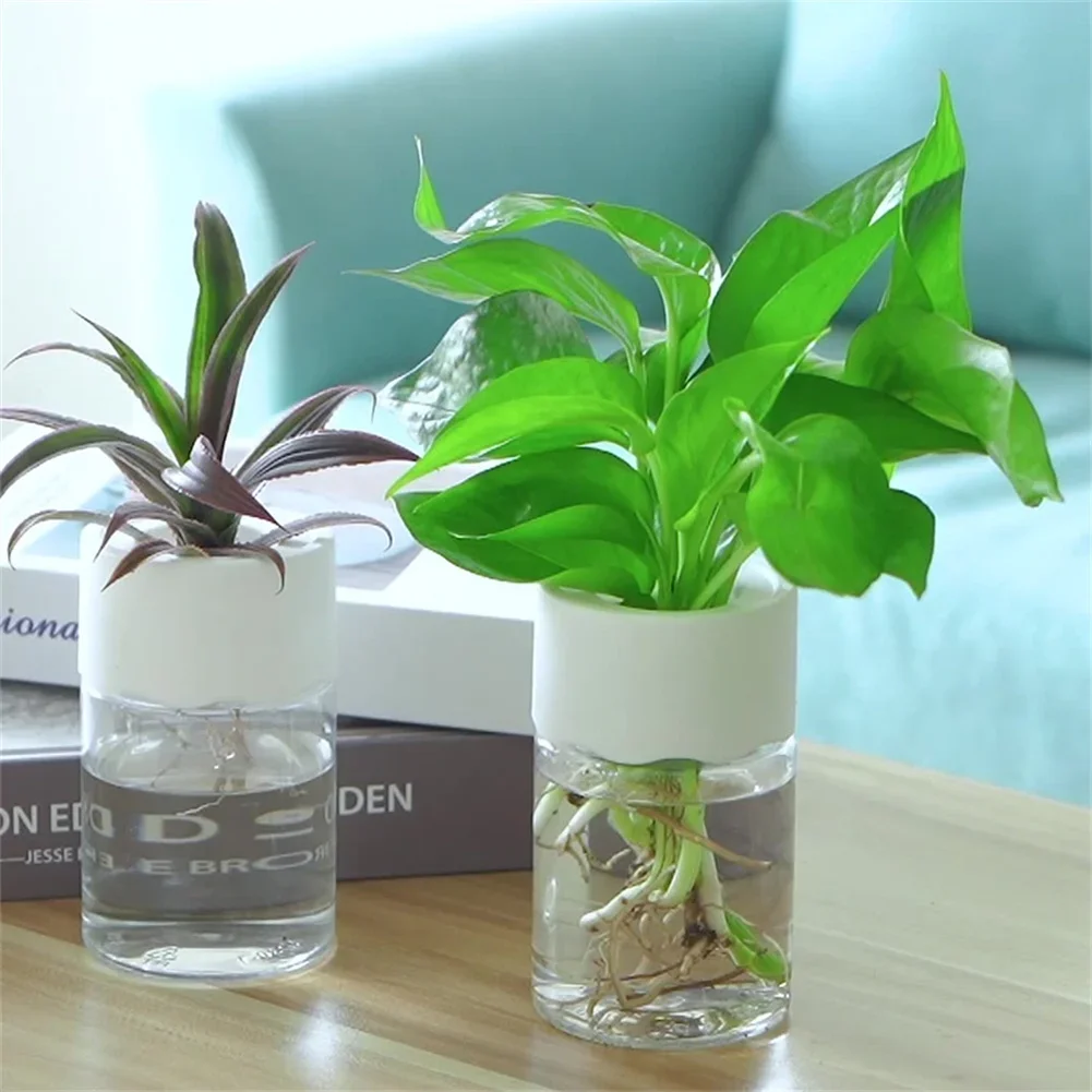 Hydroponic Grow Pod - Mini Hidroponik Saksı Şeffaf Topraksız Bitki
