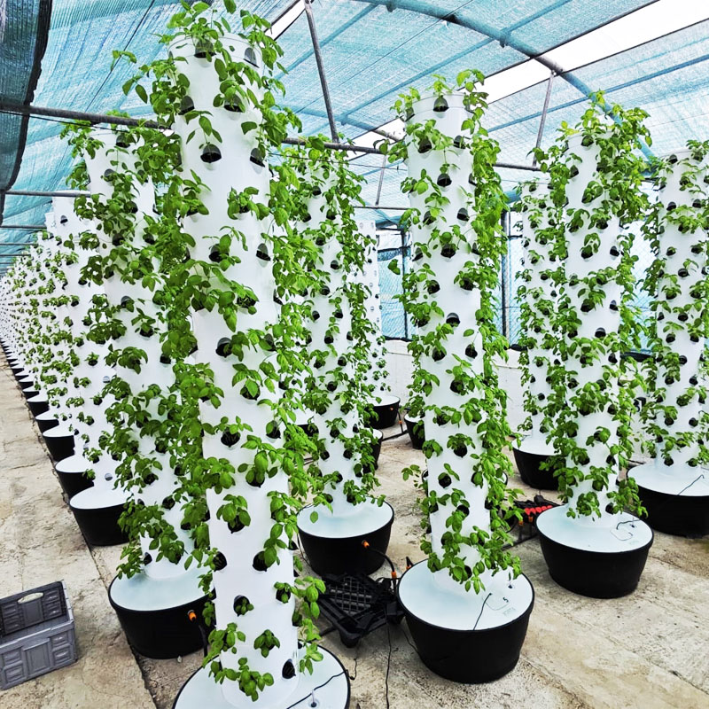 Hydroponic Tower - Yüksek Kaliteli Kolay Kurulumlu Küçük Dikey
