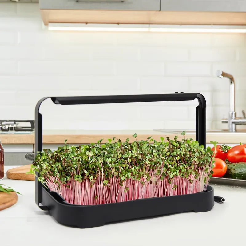 Smart Garden Kit - Hidroponik Tepsi İç Mekan Mikro Yeşillik