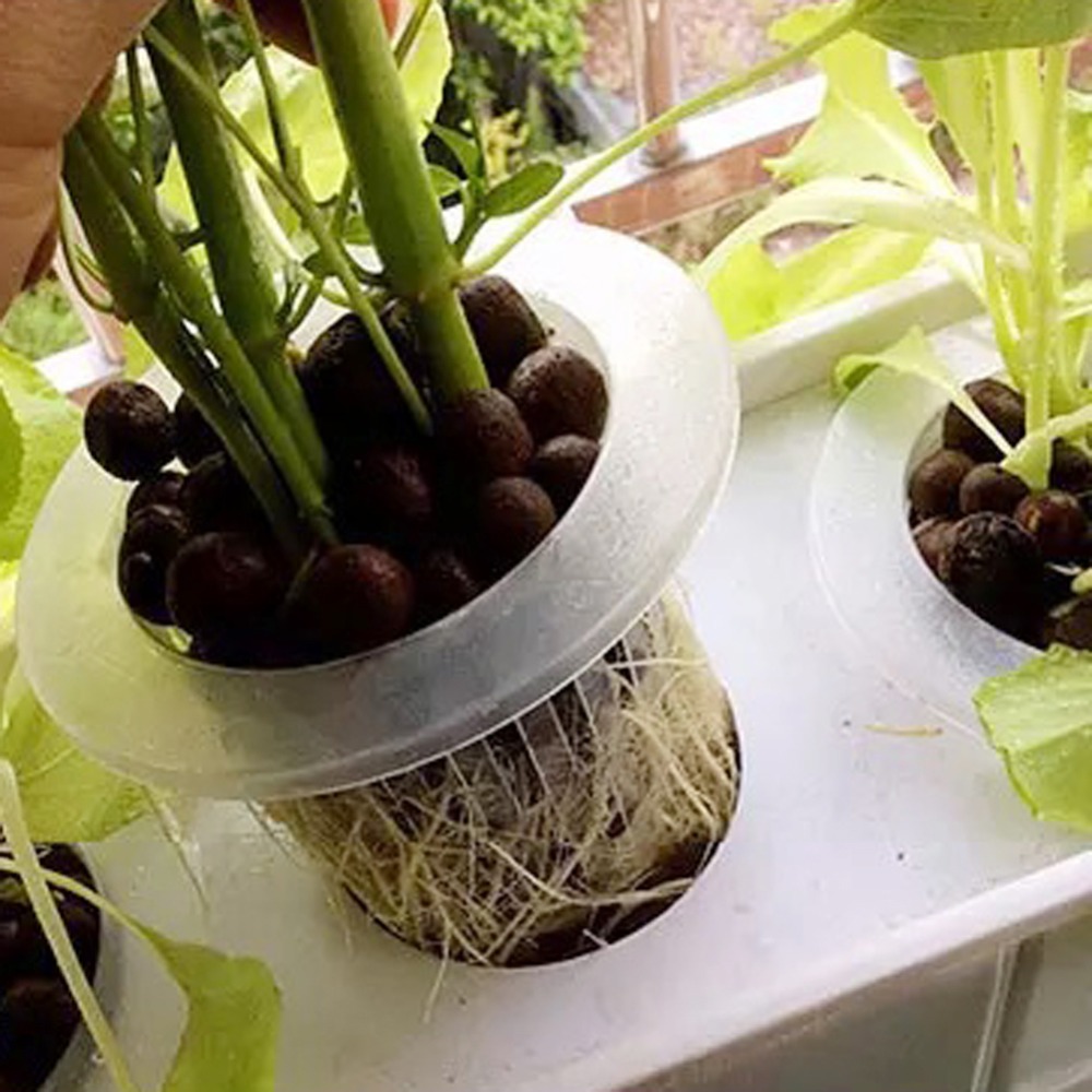 10 Adet Hidroponik File Saksıl - Hydroponic Grow Pod incelemesi ve fiyatı
