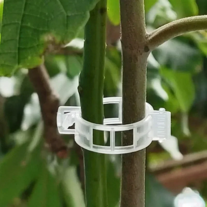 Bitki Destek Klipsleri Yeniden - Smart Garden Kit incelemesi ve fiyatı