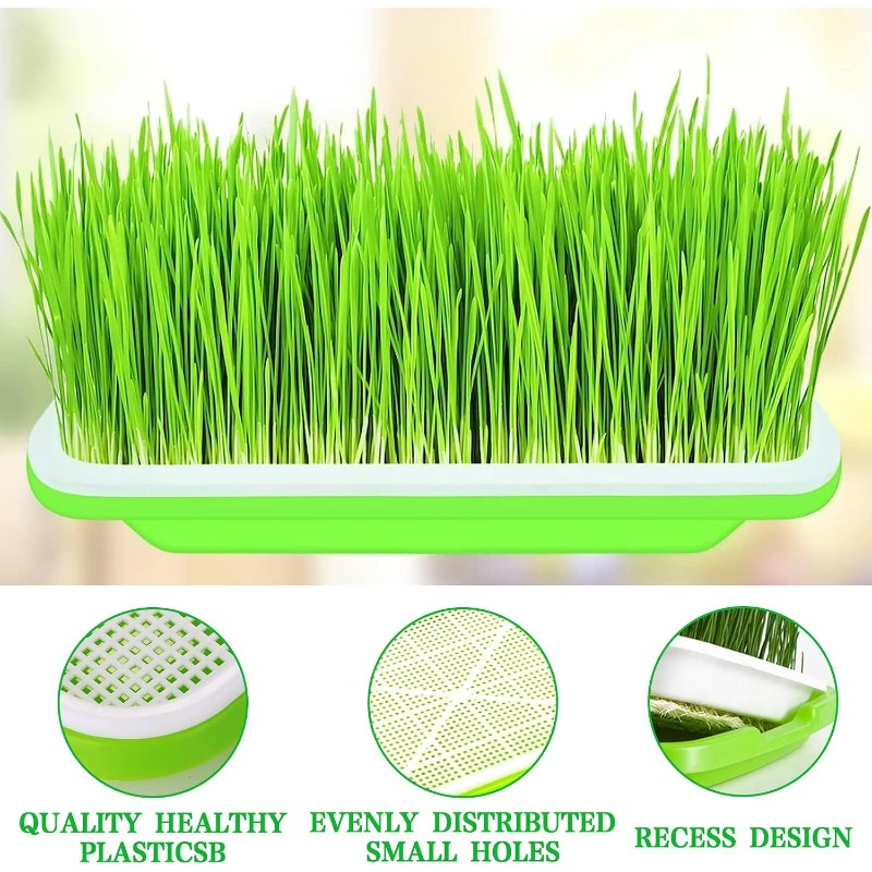 Mikro yeşillikler filizlendirm - Hydroponic Grow Pod incelemesi ve fiyatı