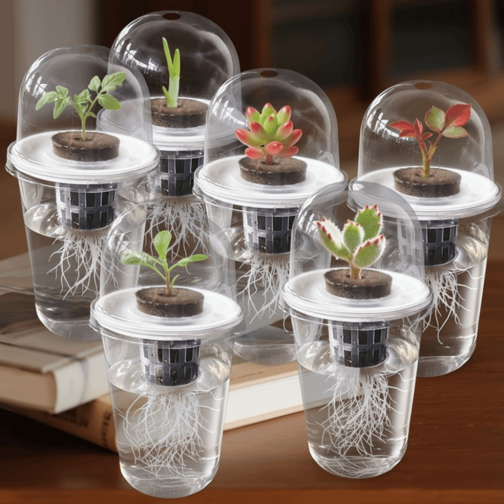 1-5 adet Görünür Şeffaf Bitki  - Hydroponic Grow Pod incelemesi ve fiyatı