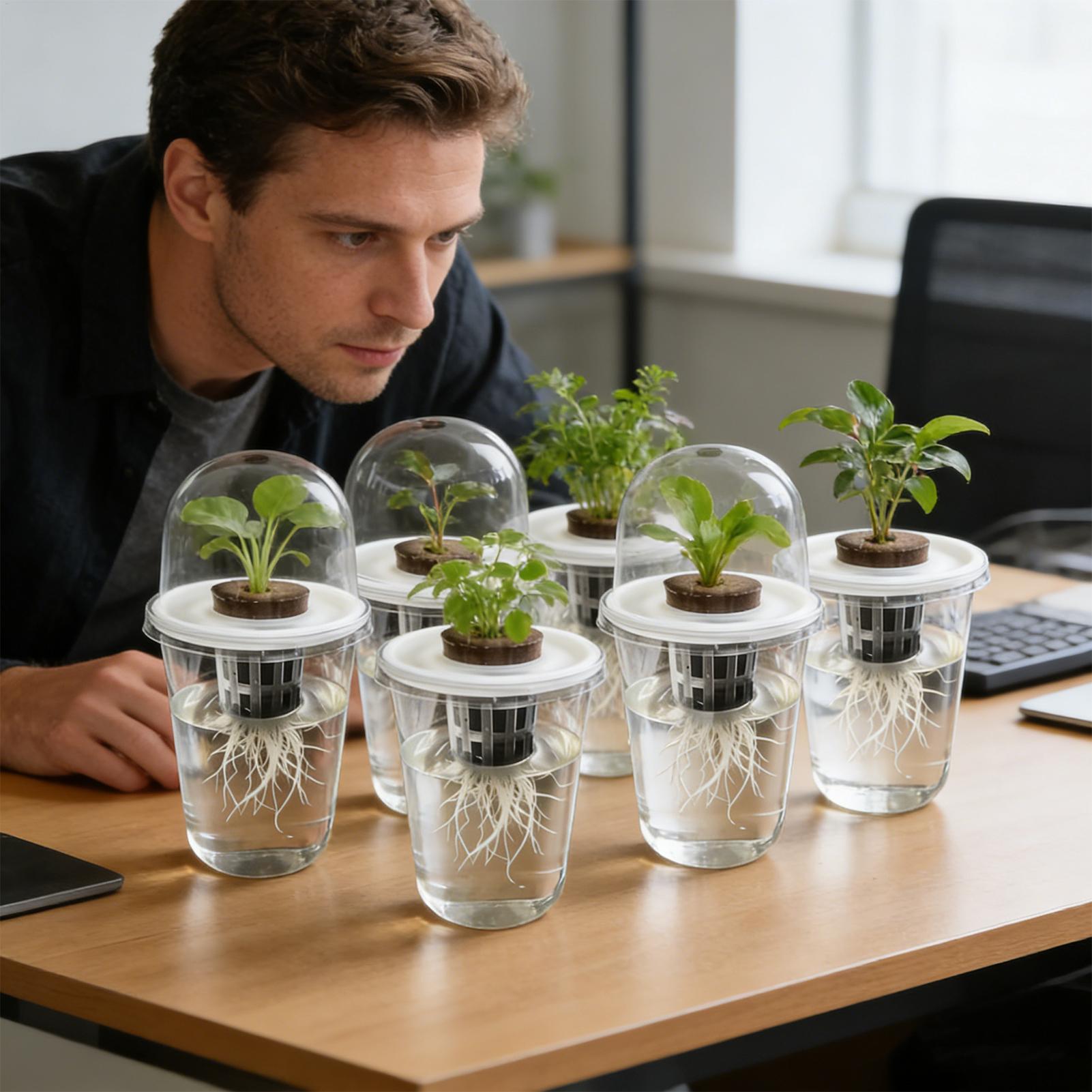 1-5 adet Görünür Şeffaf Bitki  - Hydroponic Grow Pod incelemesi ve fiyatı