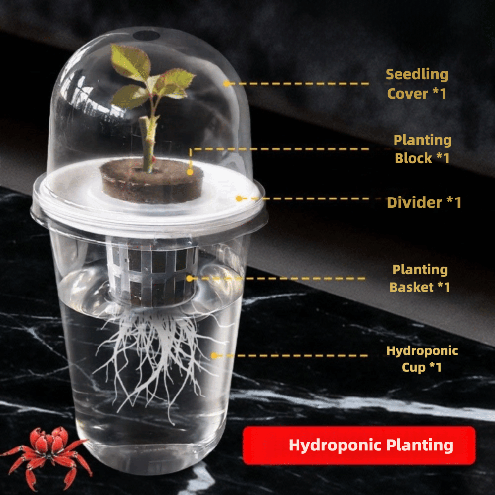 1-5 adet Görünür Şeffaf Bitki  - Hydroponic Grow Pod incelemesi ve fiyatı