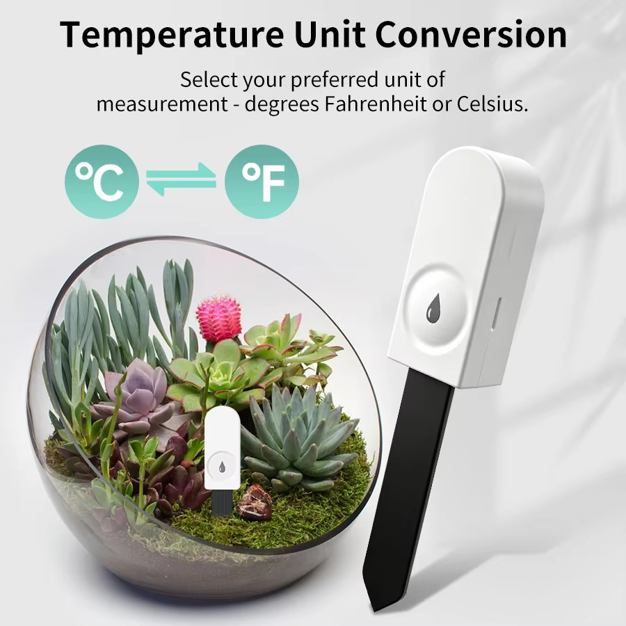 Zigbee 3.0 Bitki Monitörü Topr - Garden Camera incelemesi ve fiyatı