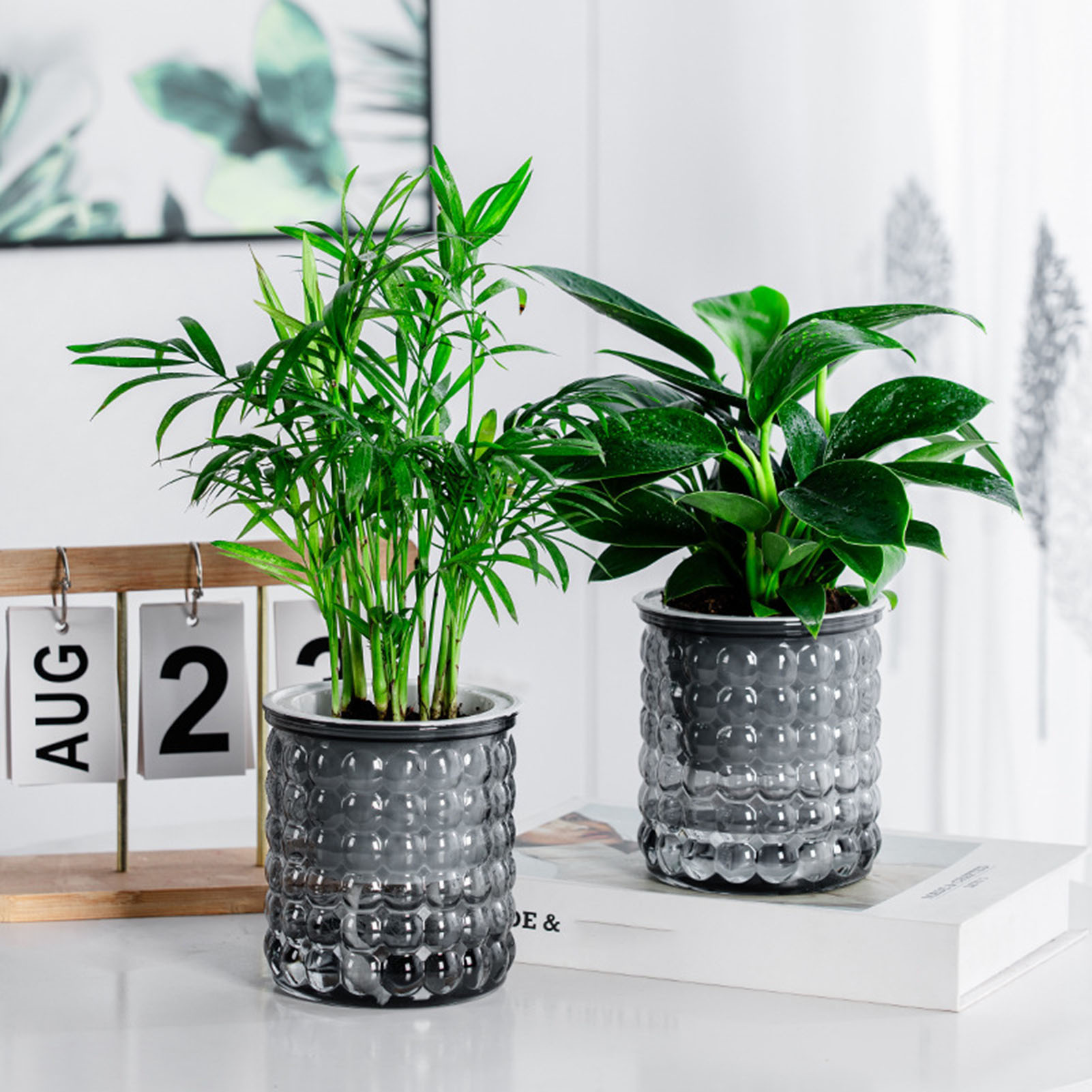 Yeni Kendinden Sulama Topraksı - Hydroponic Grow Pod incelemesi ve fiyatı