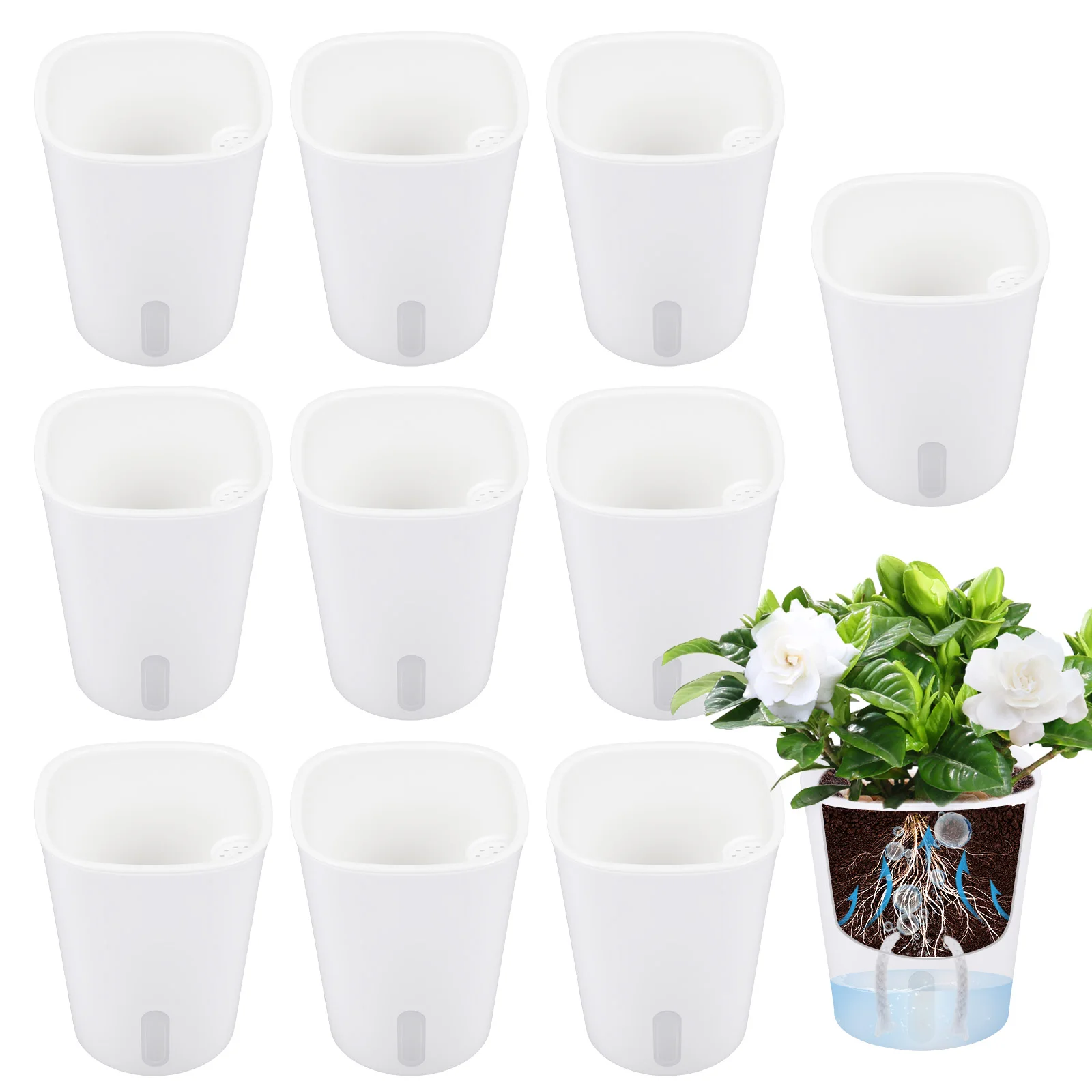 10 adet Kendinden Sulanan Ekic - Hydroponic Grow Pod incelemesi ve fiyatı