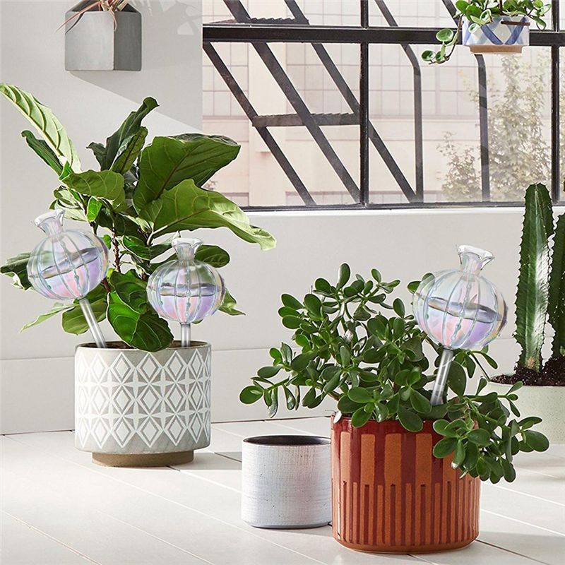 AA94 - Bitki Sulama Ampulleri, - Self Watering Planter incelemesi ve fiyatı